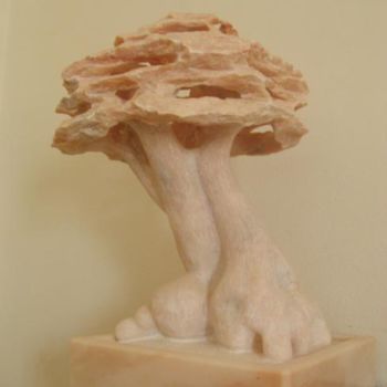 Sculpture titled "Bonsai Three 68" by Cesar Valerio, Original Artwork, Stone