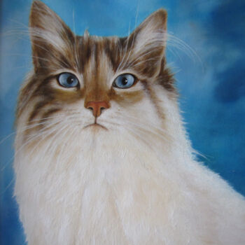 Painting titled "witte kat" by Ria Strijker, Original Artwork, Oil