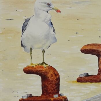 Painting titled "MOUETTE SUR BOLLARD" by Richard Diego Sander, Original Artwork, Watercolor