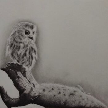 Disegno intitolato "Owl" da Richard Steinbrecher, Opera d'arte originale, Grafite