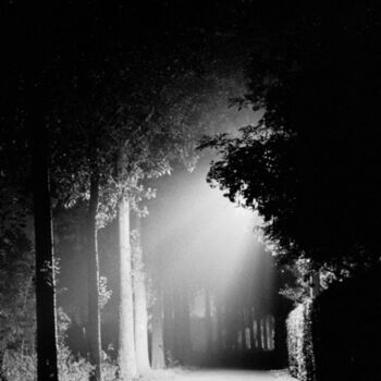 Fotografía titulada "At night" por Robin Vandenabeele, Obra de arte original