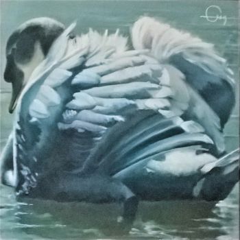 Painting titled "Cygne dos" by Roland Guyomard, Original Artwork, Oil