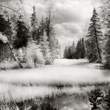 Fotografía titulada "Old river" por Romeo Koitmäe, Obra de arte original, Fotografía analógica