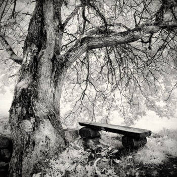 Photographie intitulée "Bench" par Romeo Koitmäe, Œuvre d'art originale, Photographie argentique