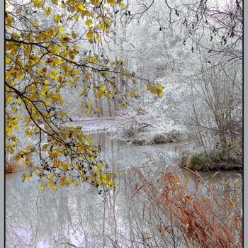 Fotografia intitolato "Eclat d' hiver" da Michel Guillaumeau, Opera d'arte originale, Fotografia digitale