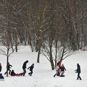 Фотография под названием "Jeux d'hiver et var…" - Michel Guillaumeau, Подлинное произведение искусства, Цифровая фотография