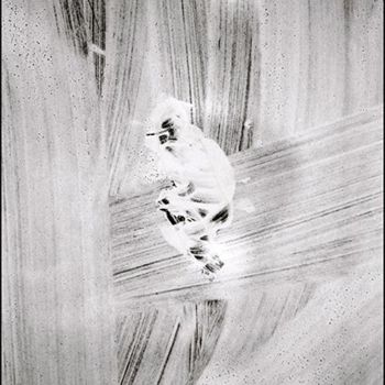 Fotografía titulada "Le penseur anodin" por Saâd Tazi, Obra de arte original