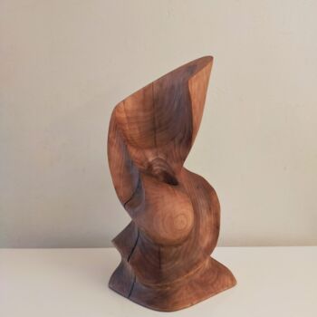 Sculpture titled "Ceviz" by Salih Demirci, Original Artwork, Wood
