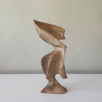 Sculpture titled "Ceviz 7" by Salih Demirci, Original Artwork, Wood