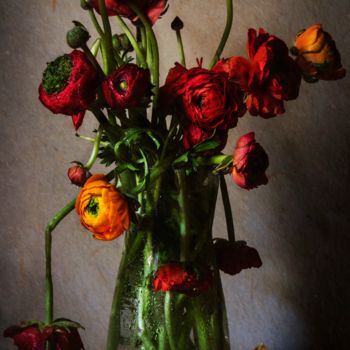 Fotografia intitulada "Ranunculus" por Sandra Platas Hernández, Obras de arte originais, Fotografia digital