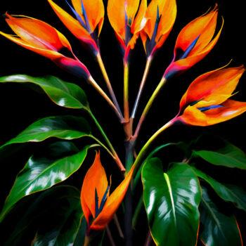 Digital Arts titled "STRELITZIA" by Santos Merchán, Original Artwork, Digital Painting