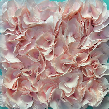 Malerei mit dem Titel "Powder pink roses" von Sasha Robinson, Original-Kunstwerk, Collagen