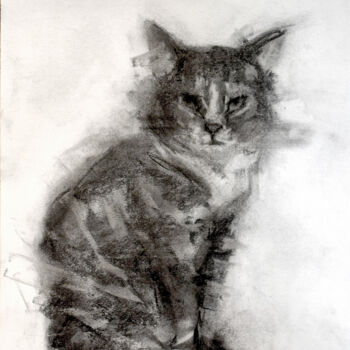 Drawing titled "Cat" by Sbboursot, Original Artwork, Charcoal