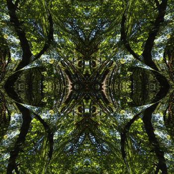 Digital Arts titled "Forest Abstract 66" by Kenneth Grzesik, Original Artwork, 2D Digital Work