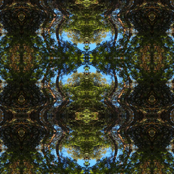 Digital Arts titled "Forest Abstract 80" by Kenneth Grzesik, Original Artwork, 2D Digital Work