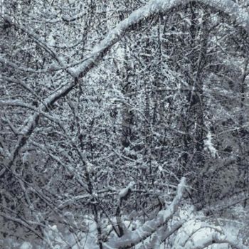"Winter Forest 29" başlıklı Dijital Sanat Kenneth Grzesik tarafından, Orijinal sanat, Dijital Resim