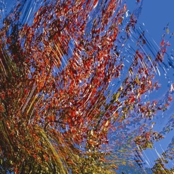 Digitale Kunst getiteld "Autumnation 12" door Kenneth Grzesik, Origineel Kunstwerk, Digitaal Schilderwerk