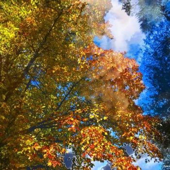 "Autumnism 20" başlıklı Dijital Sanat Kenneth Grzesik tarafından, Orijinal sanat, Dijital Resim