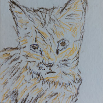 Tekening getiteld "British kitten" door Sergej Danko, Origineel Kunstwerk, Pastel