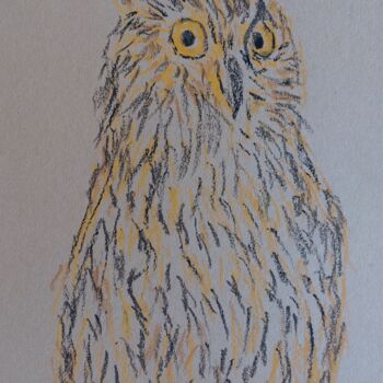 Drawing titled "The eagle-owl" by Sergej Danko, Original Artwork, Pastel