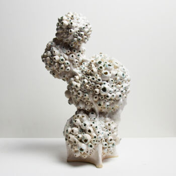 Скульптура под названием "Sea Fruit 2" - Sergey Sovkov, Подлинное произведение искусства, Керамика