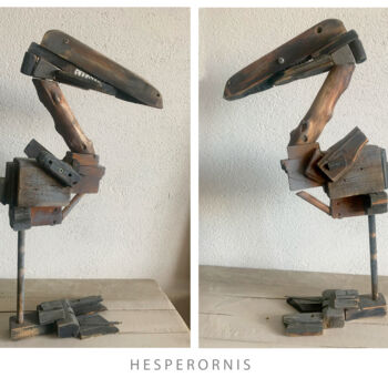 Rzeźba zatytułowany „Hesperornis” autorstwa Sergii Shkoliar, Oryginalna praca, Drewno