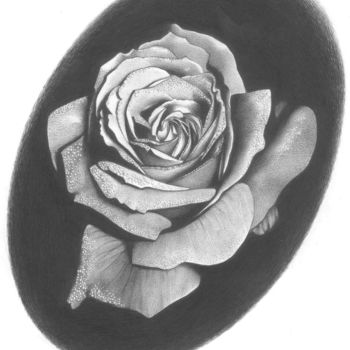 Drawing titled "rosa" by Sete Goytre, Original Artwork, Ballpoint pen