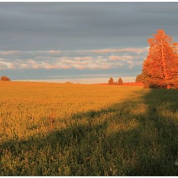 Photography titled "Великолепное утро,а…" by Viacheslav Bakaev, Original Artwork