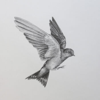 Rysunek zatytułowany „Grace in Flight” autorstwa Sophie Marts, Oryginalna praca, Ołówek