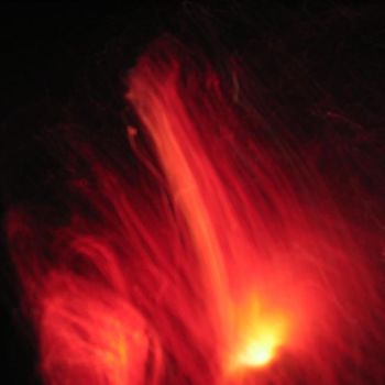 Photographie intitulée "Flames of Scarlet" par Dr. Walter Faucet, Œuvre d'art originale