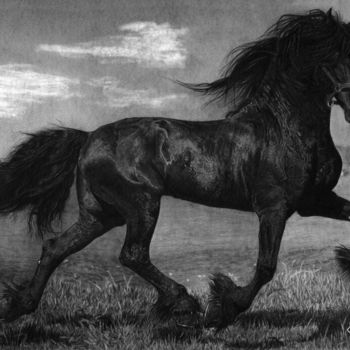 Zeichnungen mit dem Titel "Friesian" von Talita Stein, Original-Kunstwerk, Graphit