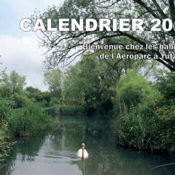 Photography titled "CALENDRIER 2019." by Stéphane Etienne, Original Artwork