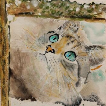 Pittura intitolato "Curious cat" da Stoyanka Nikolova, Opera d'arte originale, Acquarello