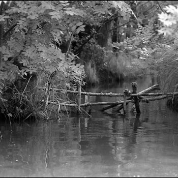 Photography titled "marais p'tit pont" by Surexandco, Original Artwork