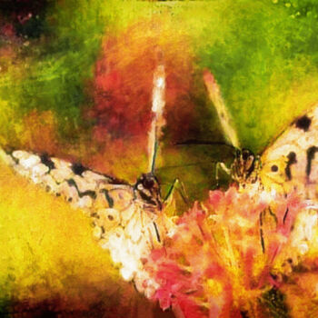 Grafika cyfrowa / sztuka generowana cyfrowo zatytułowany „Romantic Butterfly…” autorstwa Susan Maxwell Schmidt, Oryginalna p…