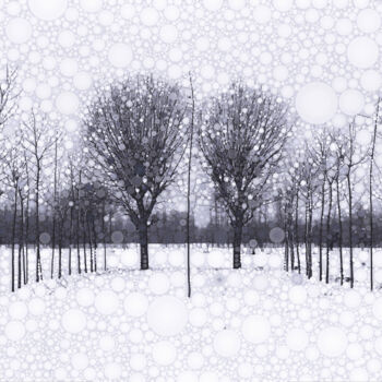 Photographie intitulée "The Scent of Snow" par Susan Maxwell Schmidt, Œuvre d'art originale, Photographie manipulée