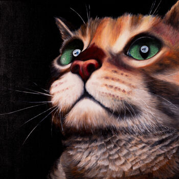 Schilderij getiteld "Cat" door Svitlana Miku, Origineel Kunstwerk, Olie