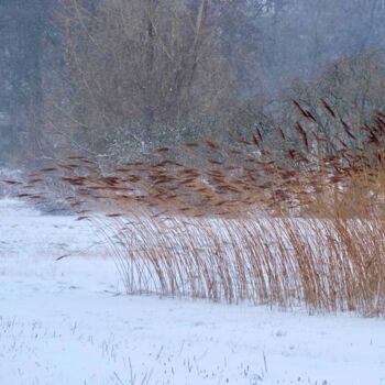 Photography titled "The Wind" by Sylvestre Bonnet, Original Artwork, Non Manipulated Photography