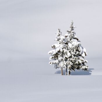 Photography titled "Seul dans la neige" by Sylvestre Bonnet, Original Artwork, Digital Photography
