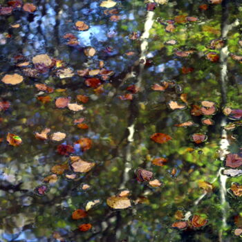 Fotografie getiteld ""Un jour d'automne"" door Sylvie Chapuis, Origineel Kunstwerk, Niet gemanipuleerde fotografie