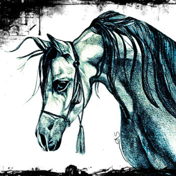 Disegno intitolato "Cheval bleu" da Sylvie Chauvin, Opera d'arte originale, Matita