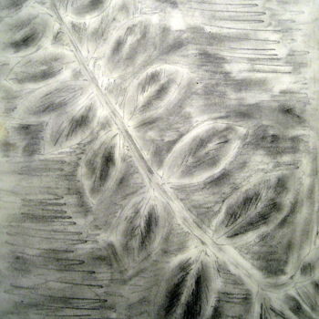 Drawing titled "leaves" by Tom Schrijver, Original Artwork, Pencil