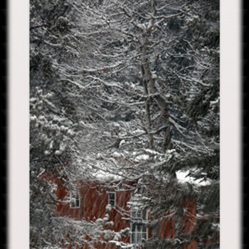 Fotografia zatytułowany „Forest Dwelling” autorstwa Sarna, Oryginalna praca, Fotografia cyfrowa Zamontowany na Karton