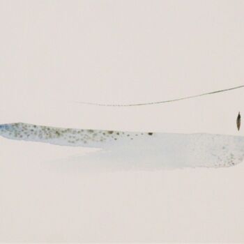 Картина под названием "flyfishing" - Tammy Gauthreaux, Подлинное произведение искусства, Акварель