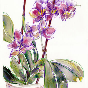 제목이 "Blooming orchid"인 미술작품 Tanya Sviatlichnaya로, 원작, 수채화
