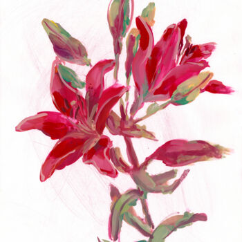 Ζωγραφική με τίτλο "Ruby Lily Sketch" από Tanya Sviatlichnaya, Αυθεντικά έργα τέχνης, Γκουάς