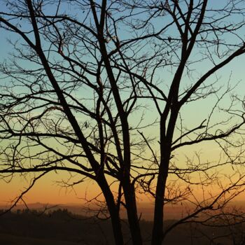 Fotografia intitulada "Sunset in the Viney…" por Thiemo Kastel (Mixed Reality Arts), Obras de arte originais, Fotografia dig…