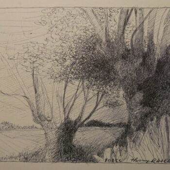 Drawing titled "Les saules" by Thierry Carol Ratel, Original Artwork, Ballpoint pen