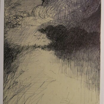 Drawing titled "Etang" by Thierry Carol Ratel, Original Artwork, Ballpoint pen