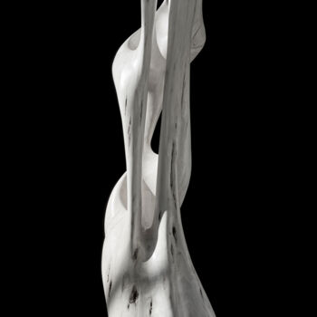 Fotografía titulada "METISSE 9 - MOVEMEN…" por Thierry Ledé, Obra de arte original, Fotografía no manipulada